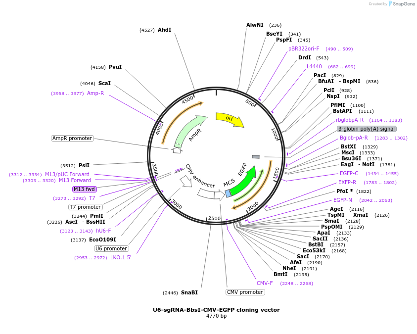 476201_map