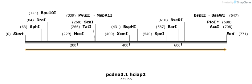 47622_map