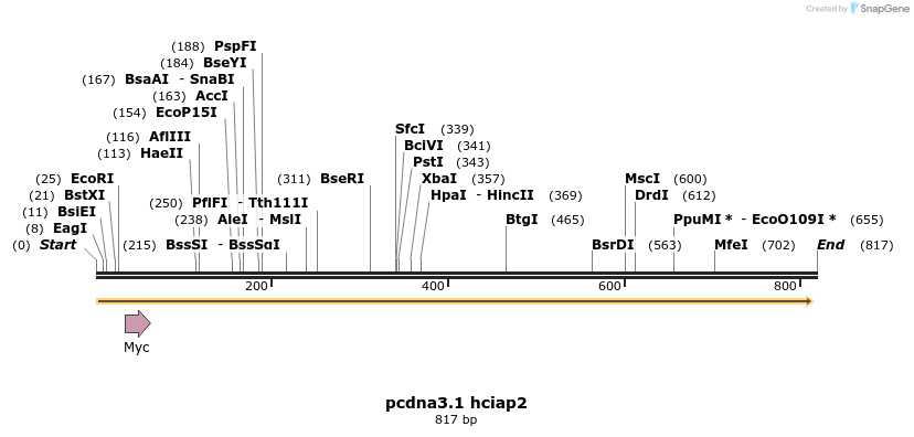 47623_map