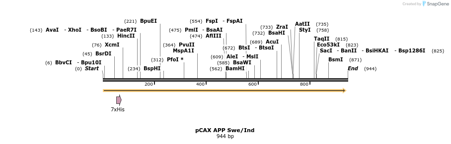 47625_map