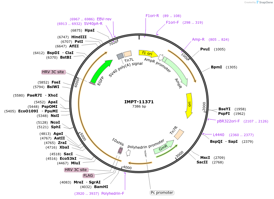 476308_map
