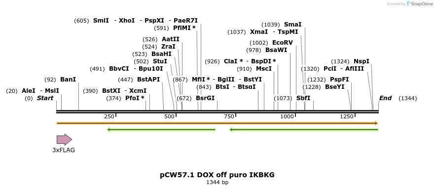 476322_map