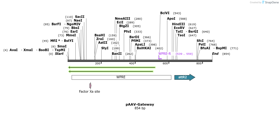 47641_map