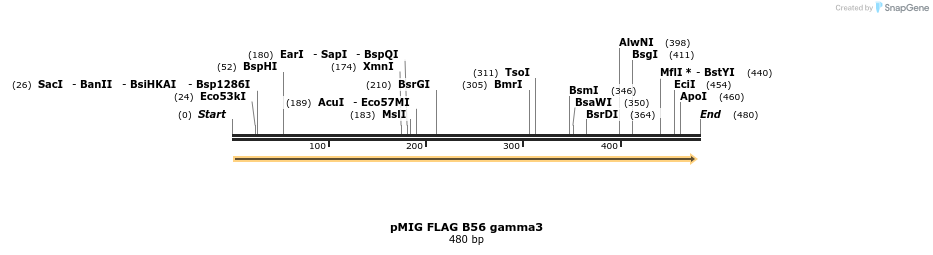 47642_map