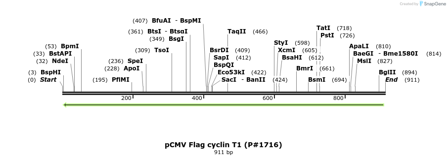 47655_map