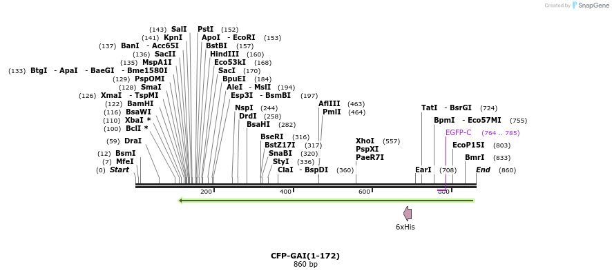 47657_map