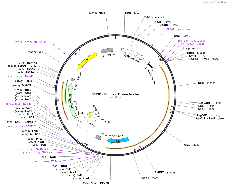 476604_map
