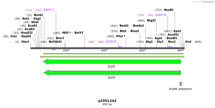 47662_map