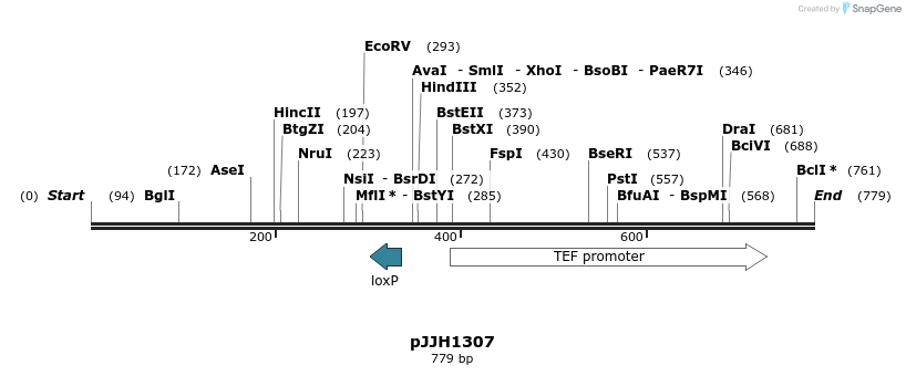 47663_map