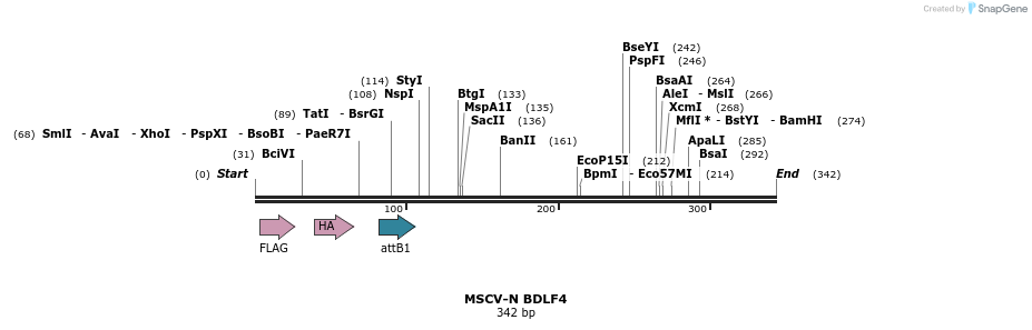 47665_map