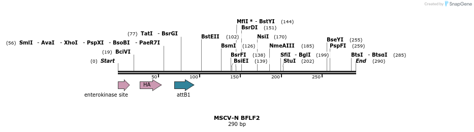 47668_map
