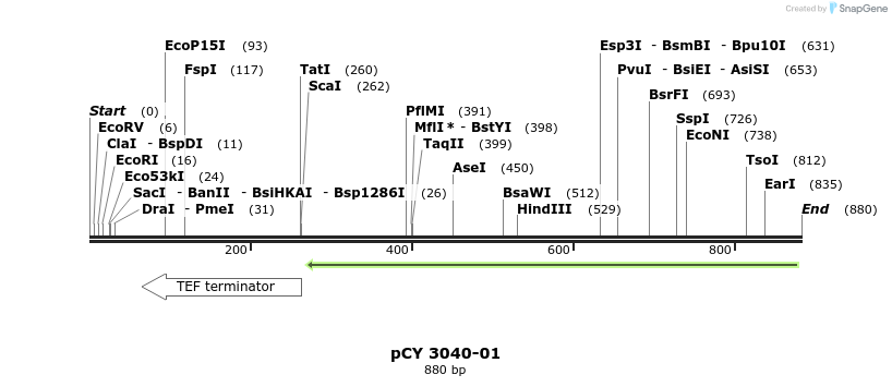 47674_map