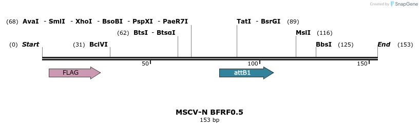 47679_map