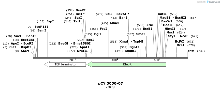 47686_map