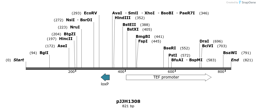 47689_map