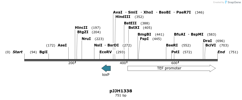 47693_map