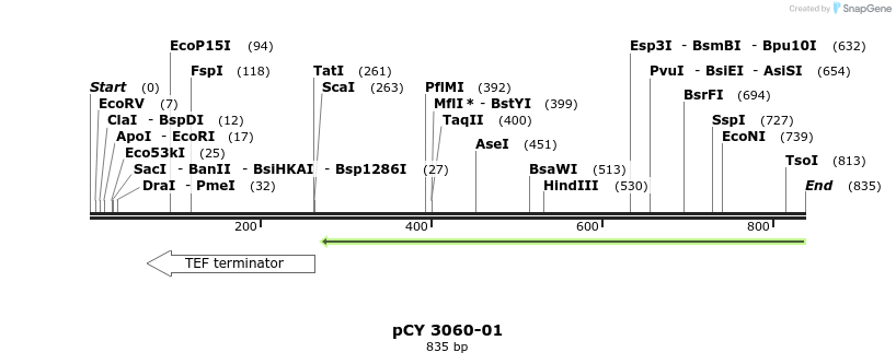 47694_map