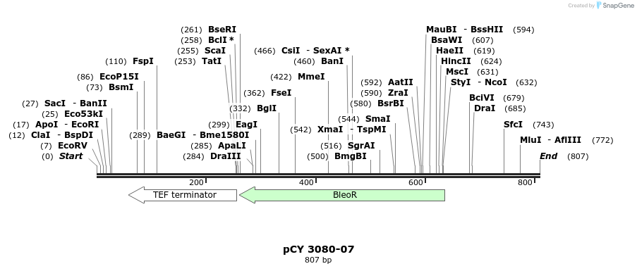 47698_map