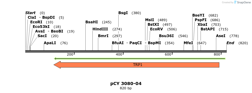 47699_map