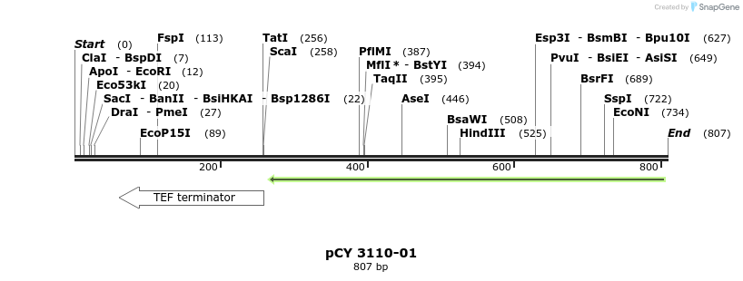 47701_map