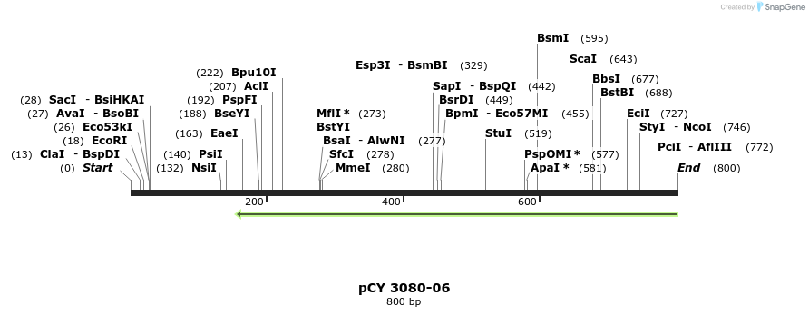 47702_map