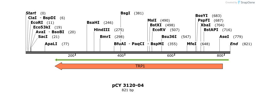 47703_map