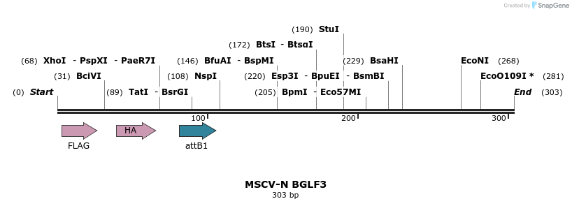 47705_map