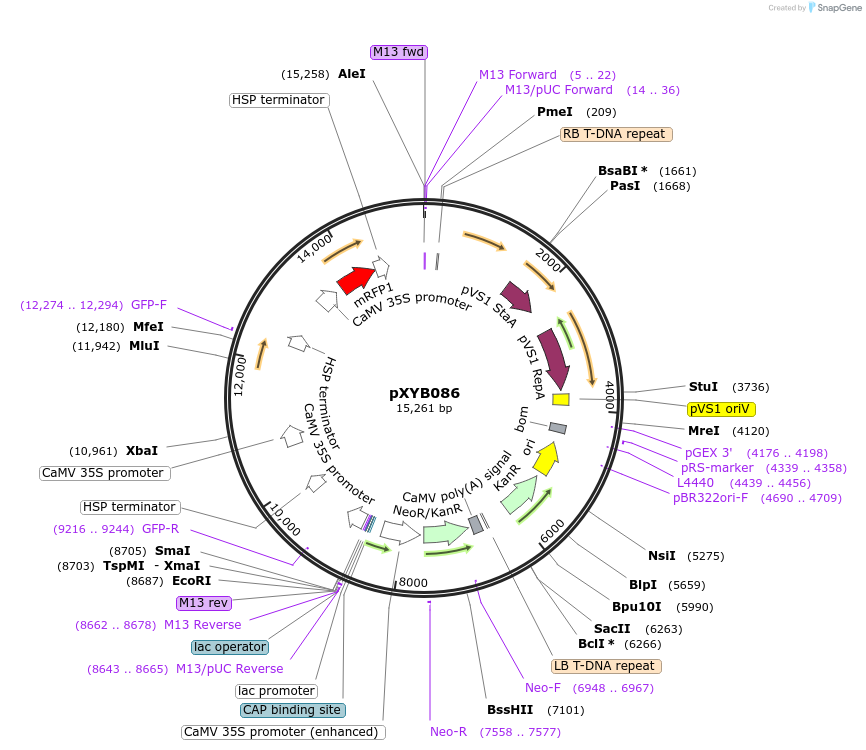 477050_map