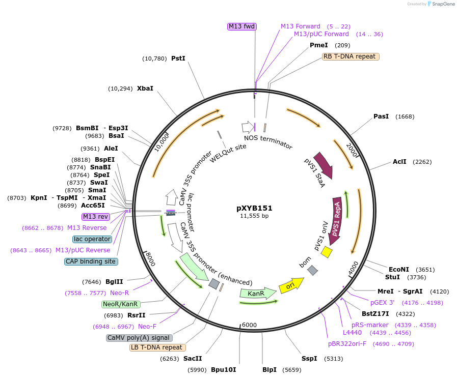 477061_map
