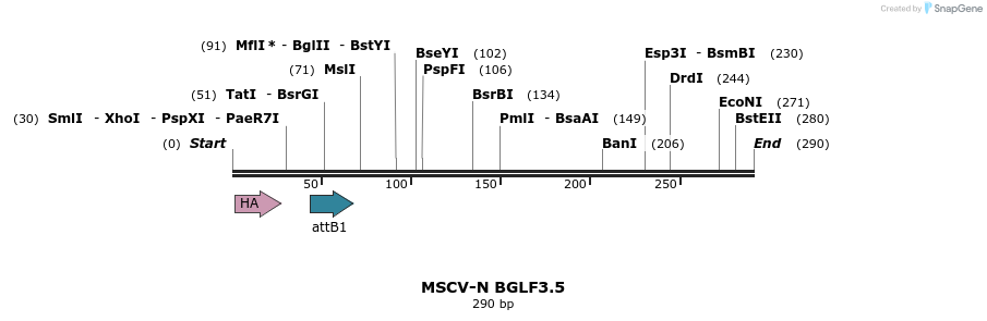 47707_map