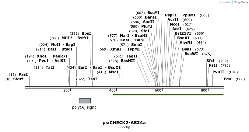 47708_map