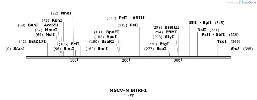 47710_map