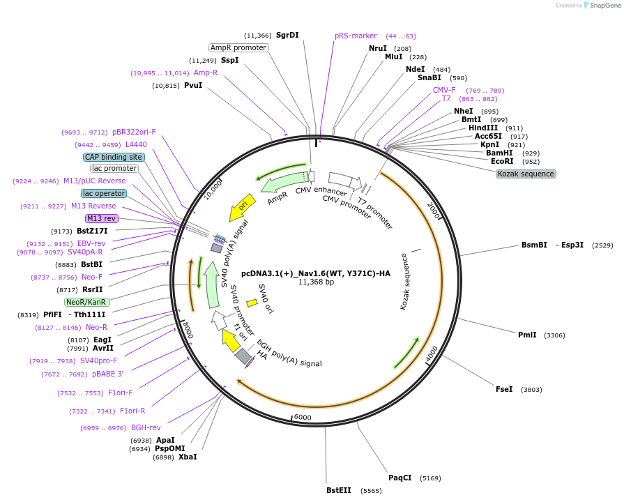 477103_map