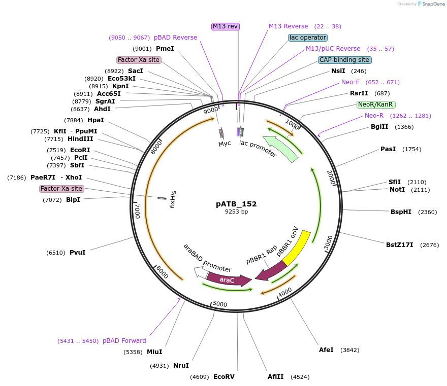 477122_map