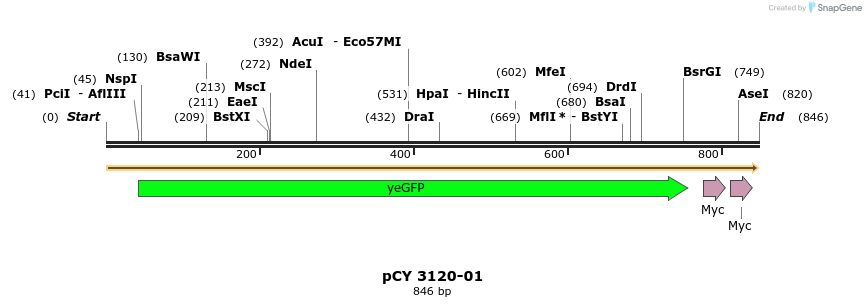 47713_map