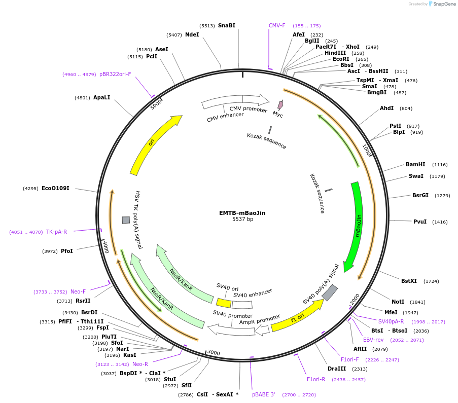 477130_map