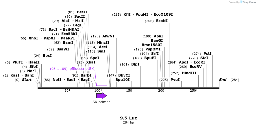 47714_map