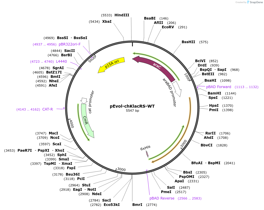 477155_map