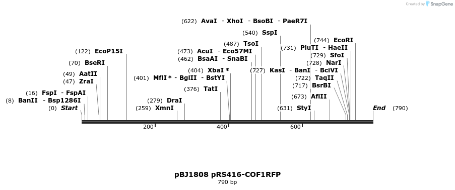 47717_map