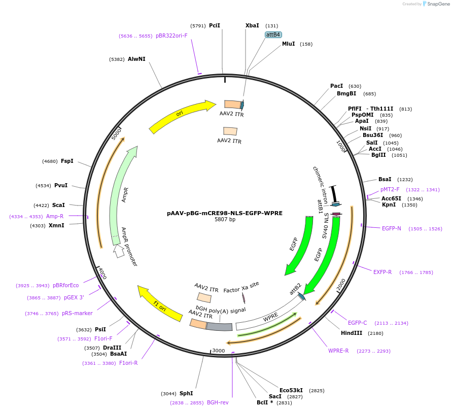 477193_map