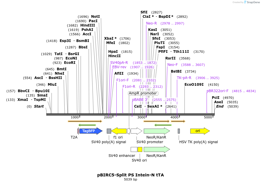 477249_map