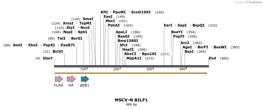 47727_map
