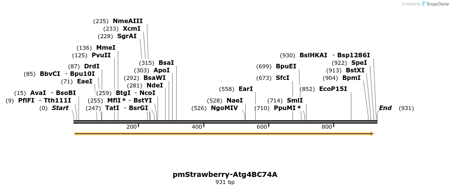 47728_map