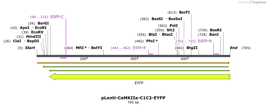 47729_map