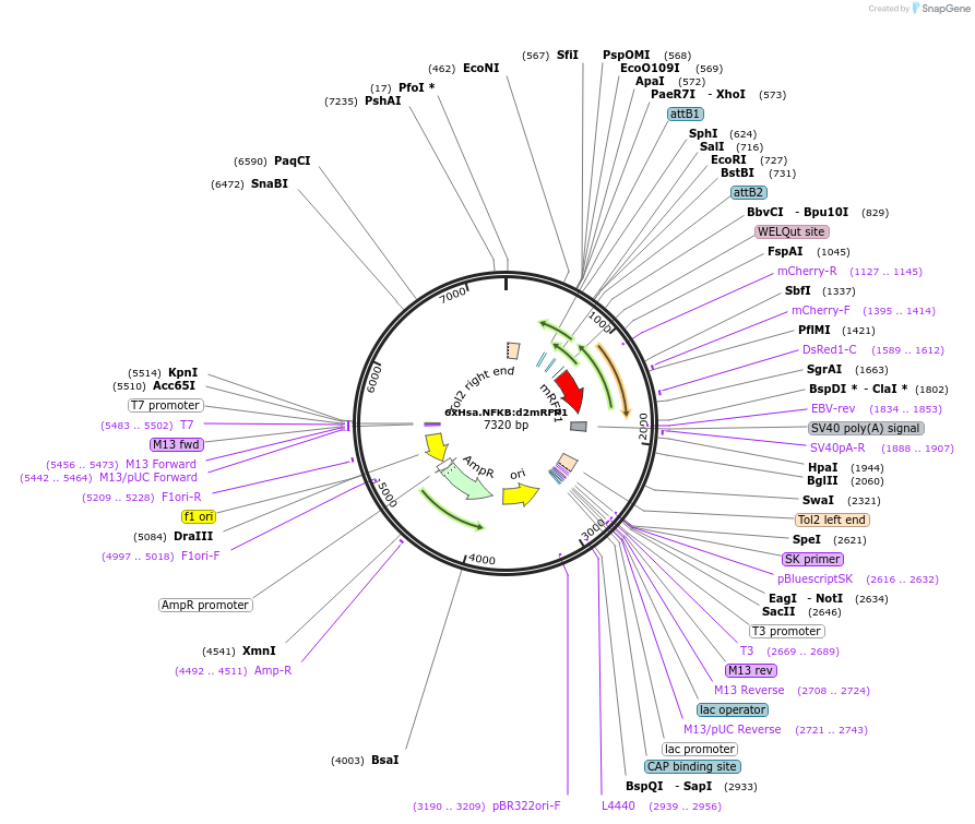 477298_map