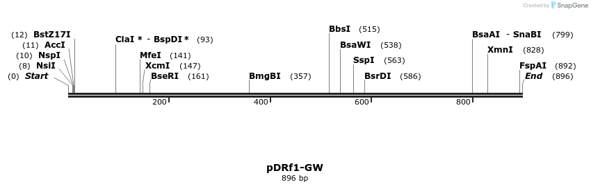 47731_map