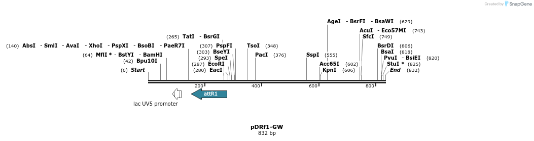 47732_map