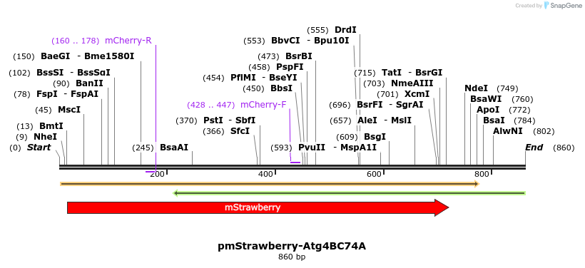 47734_map