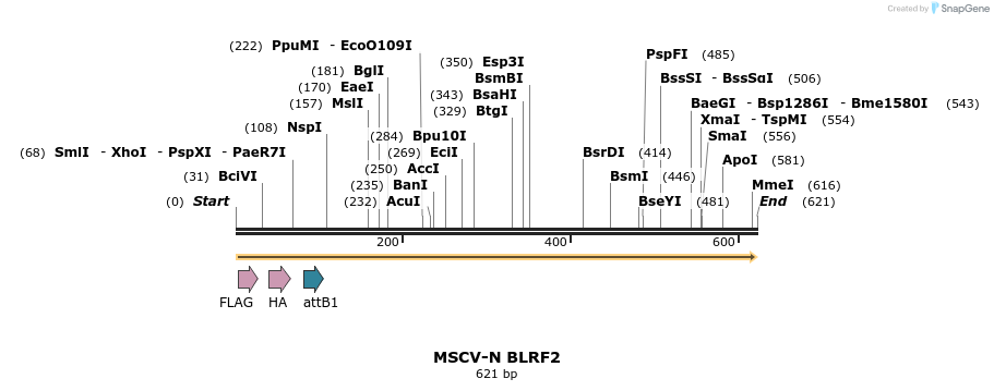 47736_map