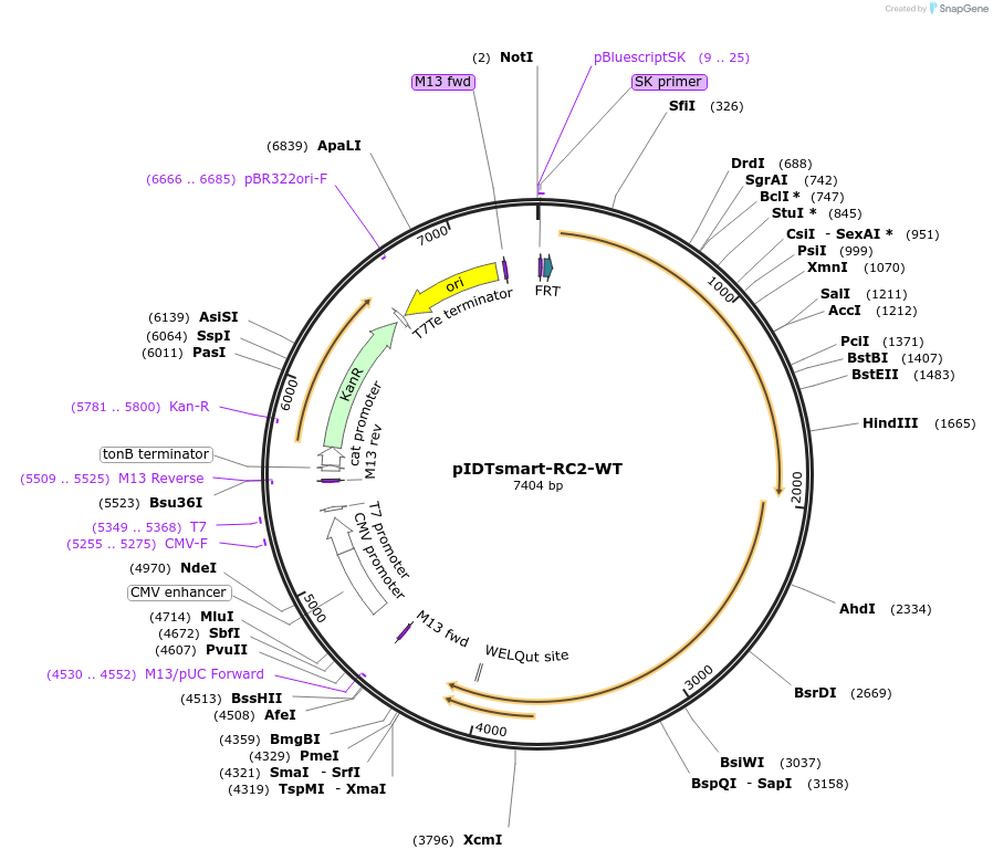 477365_map